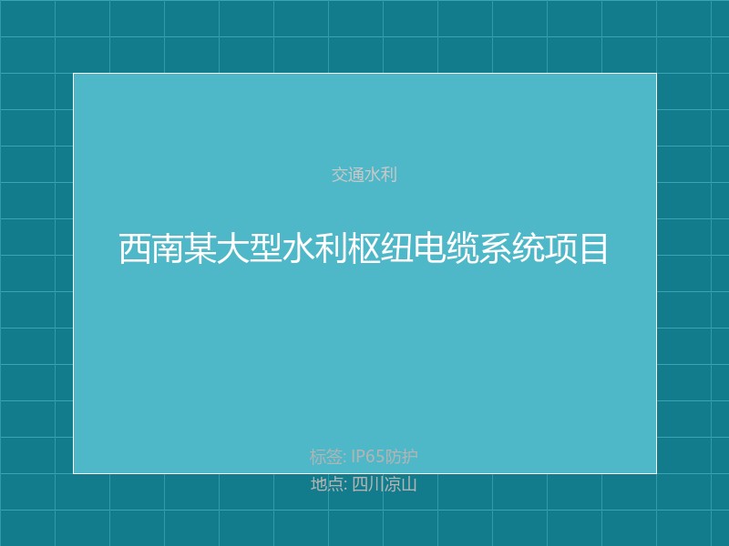 西南某大型水利枢纽电缆系统项目